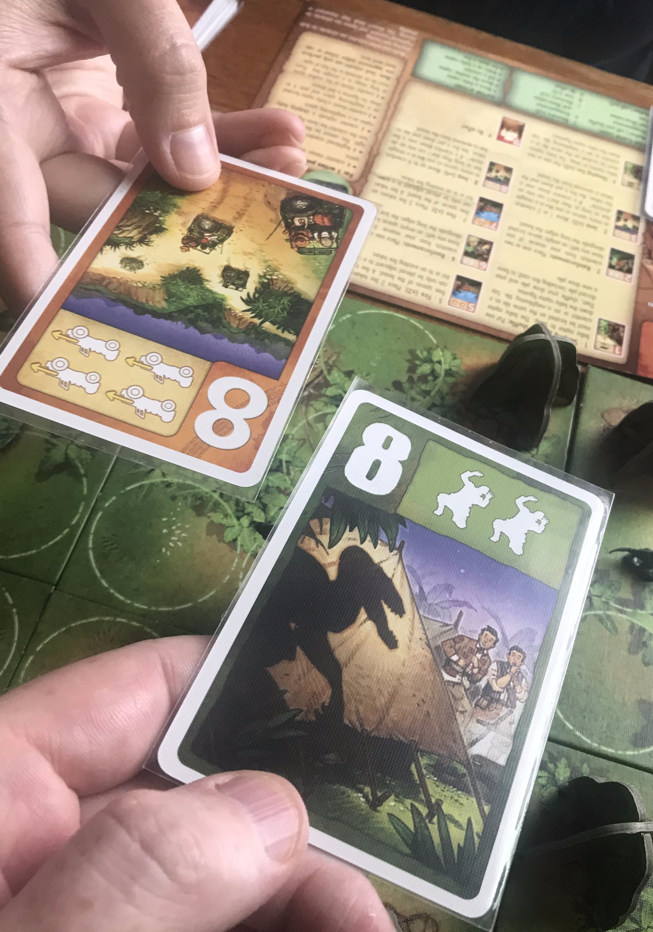 Secret Raptor Game Raptor – Pint-Sized Games